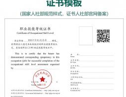 广州人工智能训练师职业技能等级证书报考条件2025年