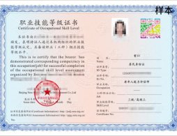  广州启动老年人能力评估师(三级)社会培训项目