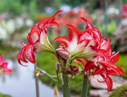 2026年广州清明节活动大全(持续更新)