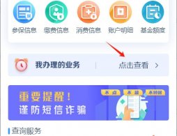 廊坊医保报销进度查询指南