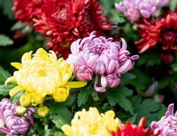 2026石家庄清明节一日游去哪里玩