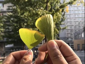 湖北旅游景点排行_武汉上榜全国十大热门旅游城市(2)