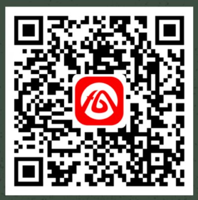 Amazon.co.jp: 帰命本願鈔諺註 : ホビー