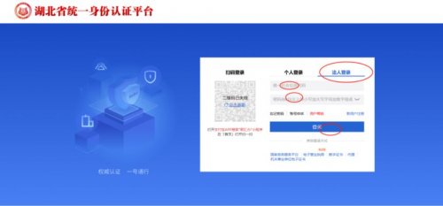 武汉江夏区汤逊湖人才卡申请入口