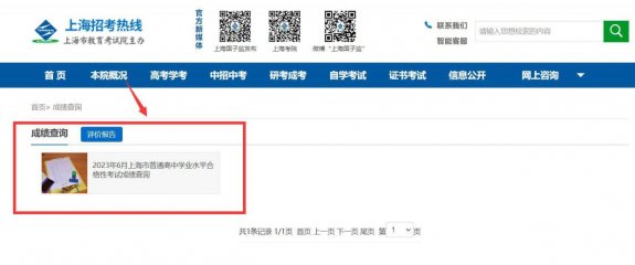 上海学业考试成绩查询入口官网(附链接）