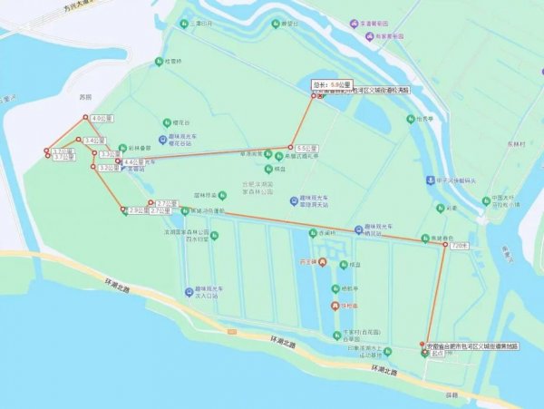 合肥滨湖国家森林公园第三届迎新跑