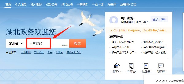 湖北政务服务网怎么办理出生登记手续？附流程图解