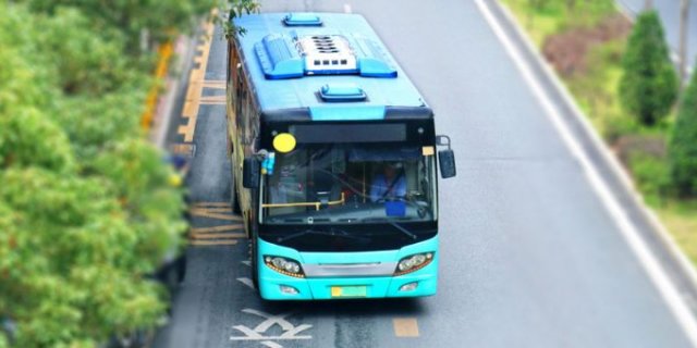 505路，543路临时绕行调整说明（内附线路图）