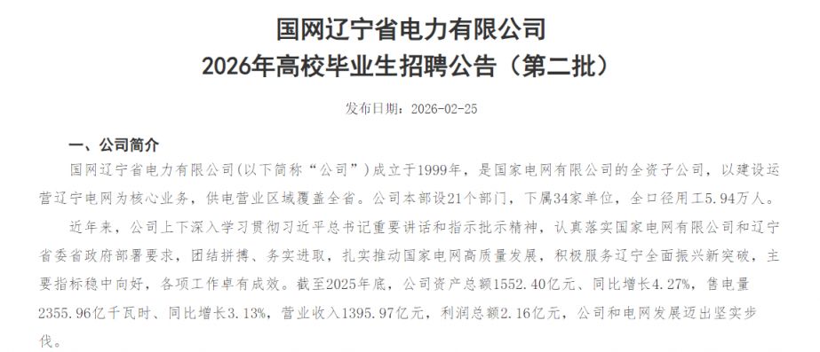 国网辽宁省电力有限公司2026年高校毕业生招聘公告（第二批）