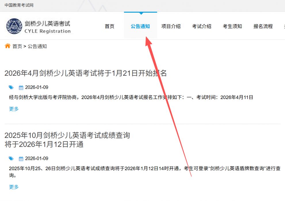 2026年4月剑桥少儿英语考试成绩查询攻略