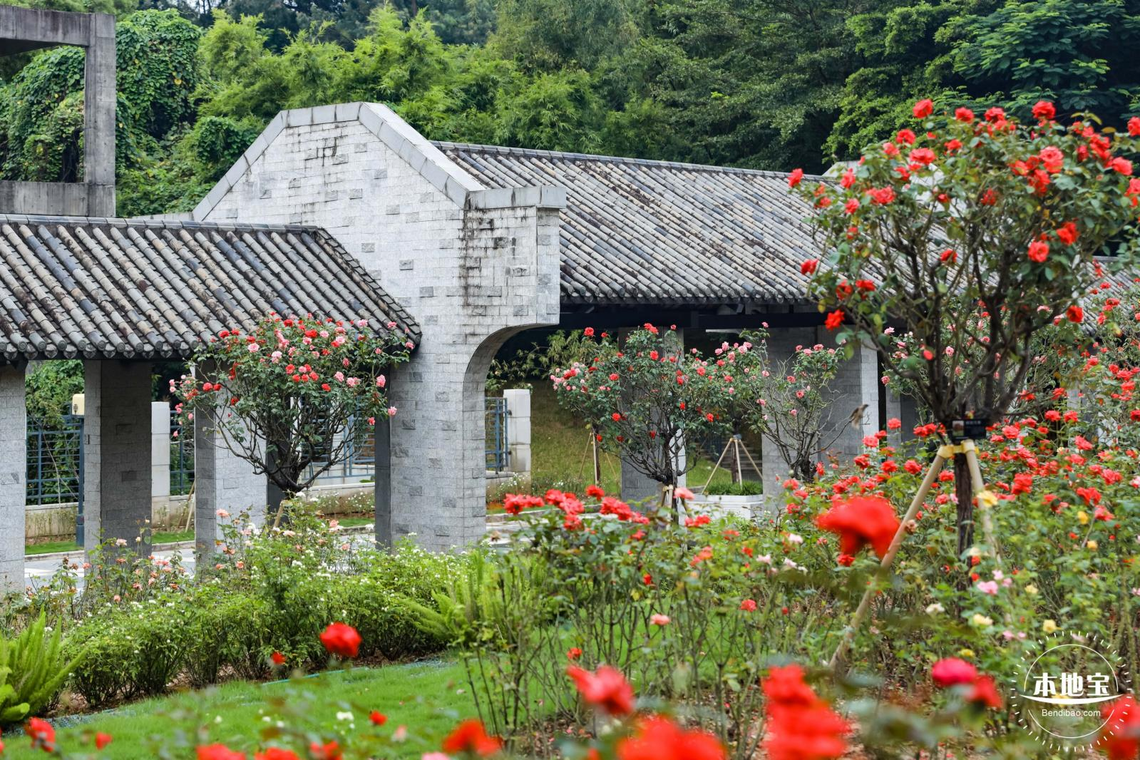 清湖文化公园图片