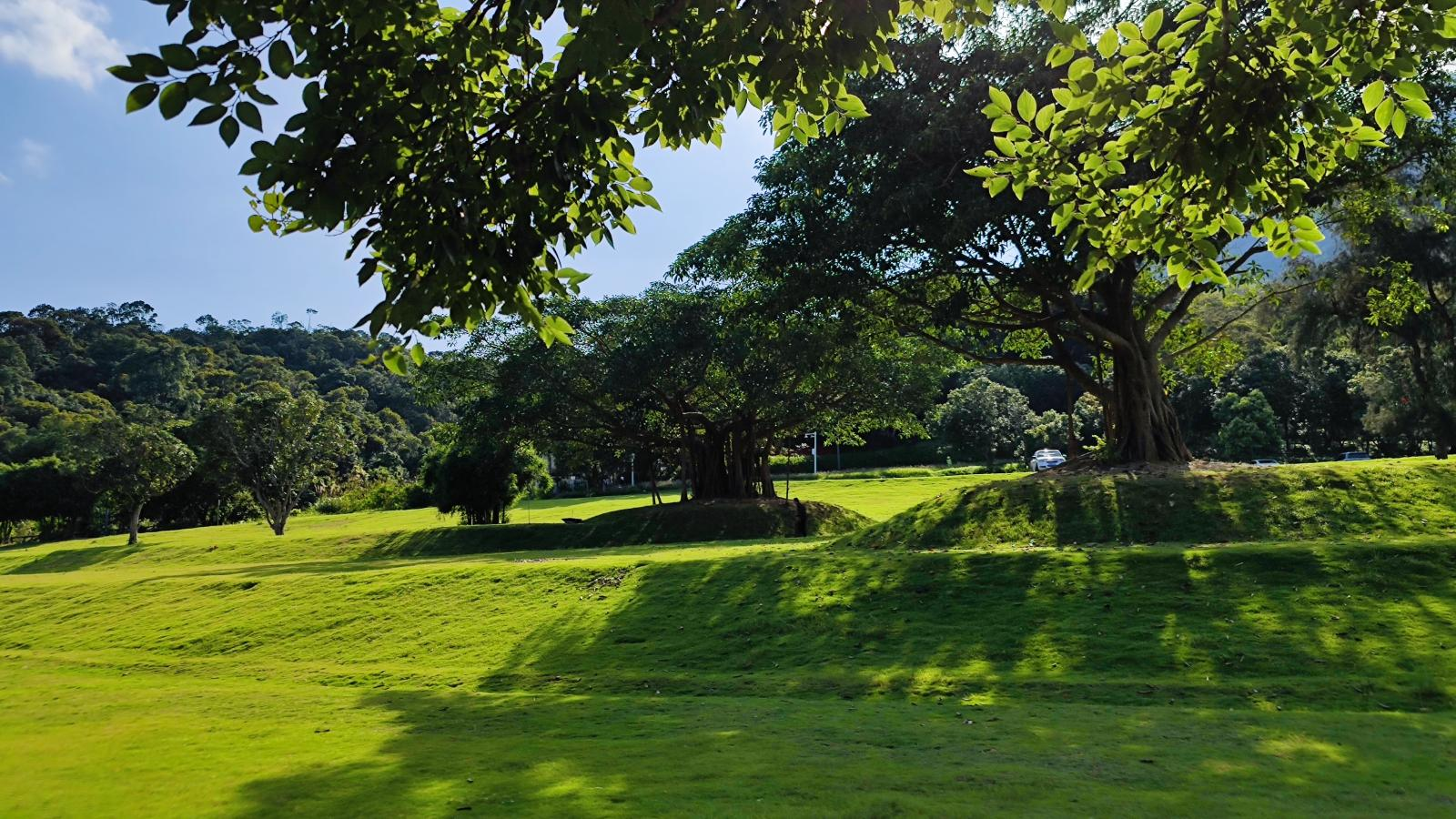 深圳免费湿地公园盘点