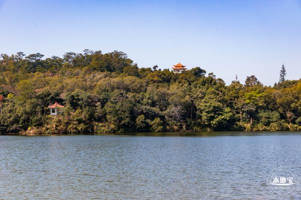 深圳仙湖植物园门票要预约吗