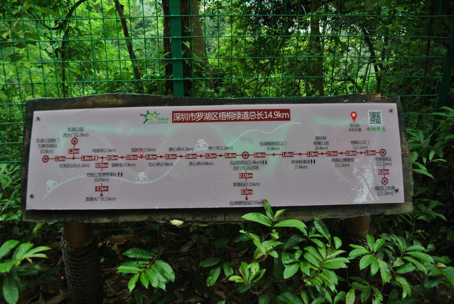 深圳梧桐绿道