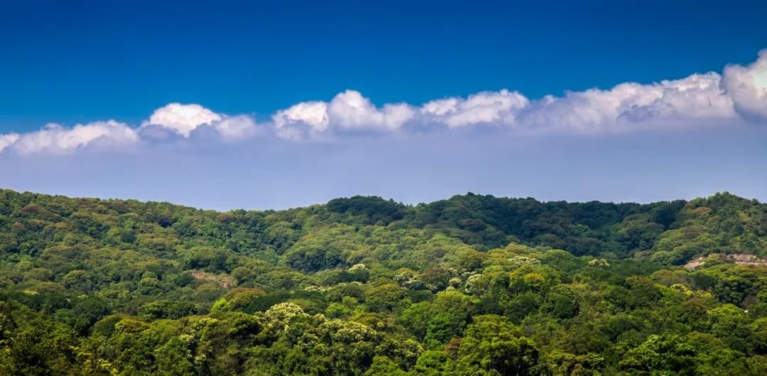 深圳马峦山停车场预约时间