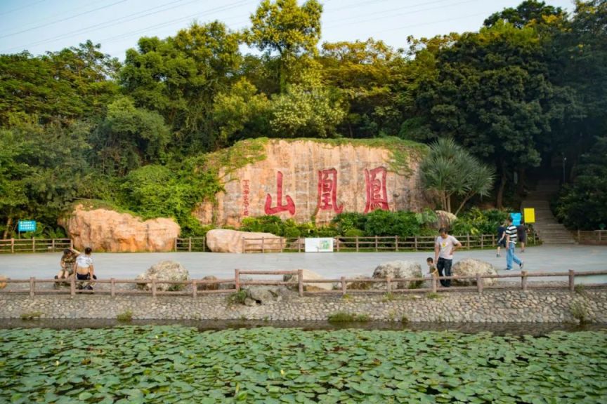深圳10大绝美古村落打卡攻略(附交通+地点)- 深圳本地宝