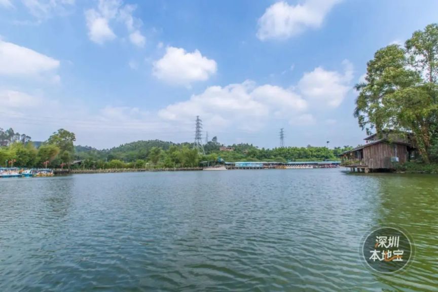 2025深圳中高考生景区免费/优惠活动汇总