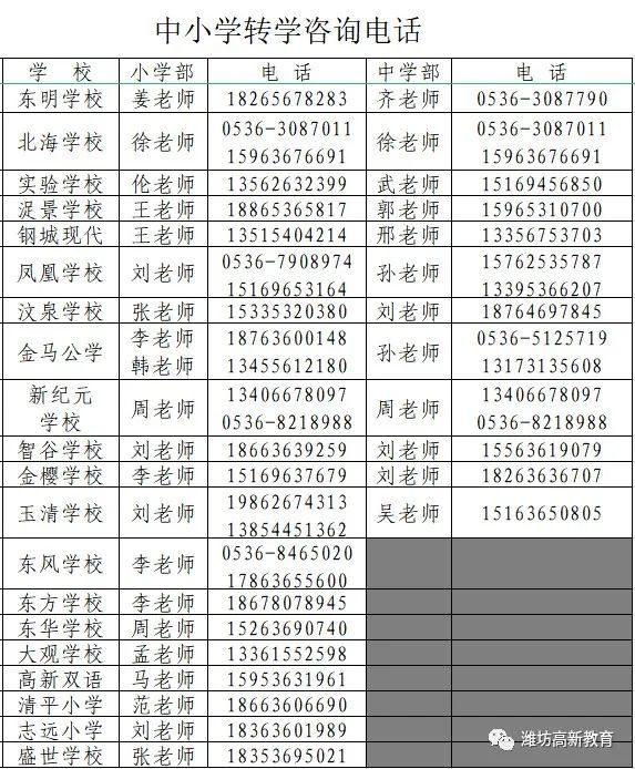 高新区教育咨询
