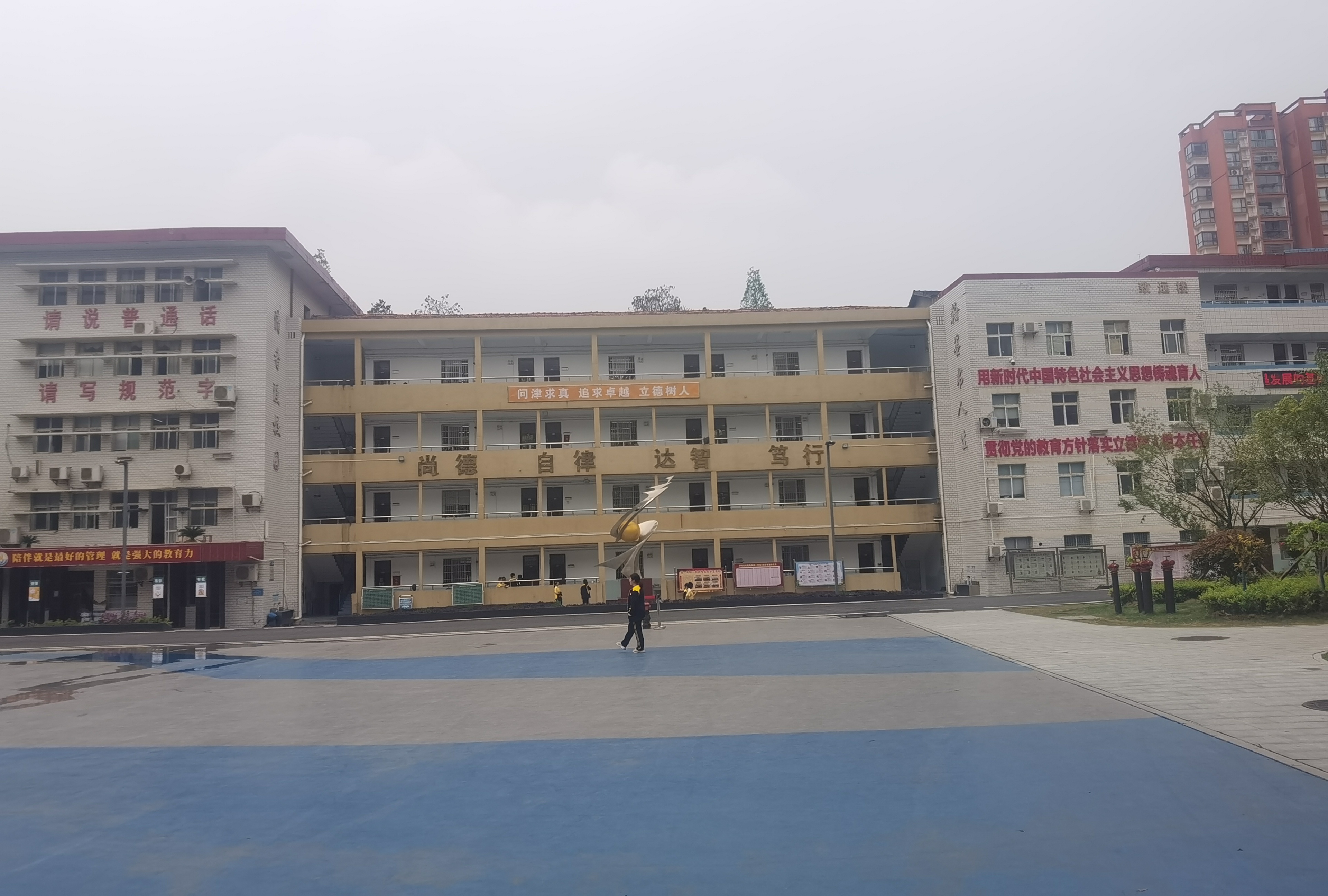 武汉市蔡甸区实验高级中学图片