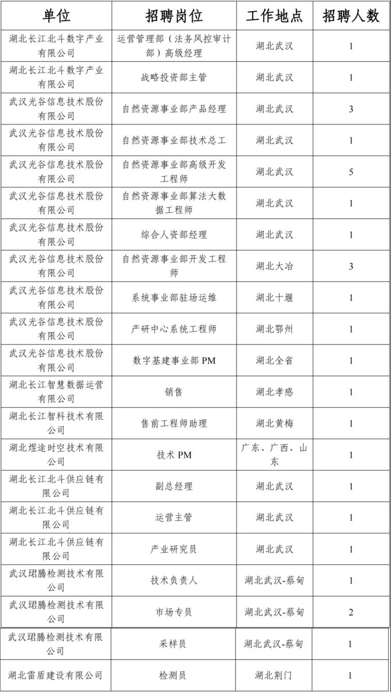 2025湖北长江北斗数字产业有限公司招聘30人