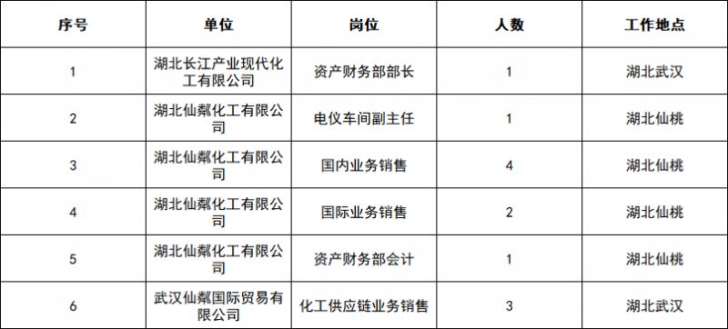 2026湖北长江产业现代化工有限公司招聘12人