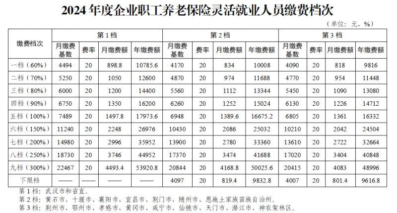 湖北2024年度社保缴费基数第一档次是多少？