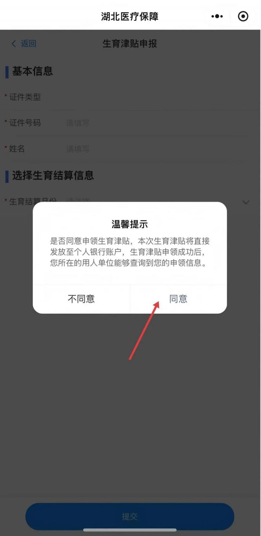 2025湖北生育津贴直发个人最新消息