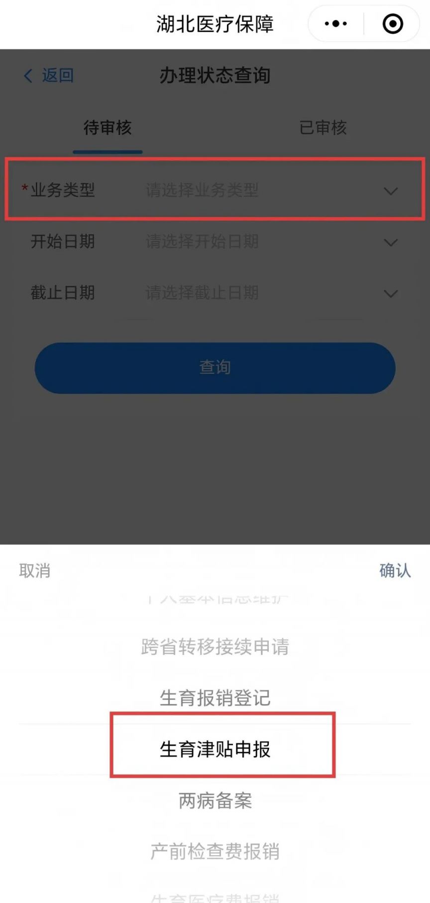 2025湖北生育津贴直发个人最新消息