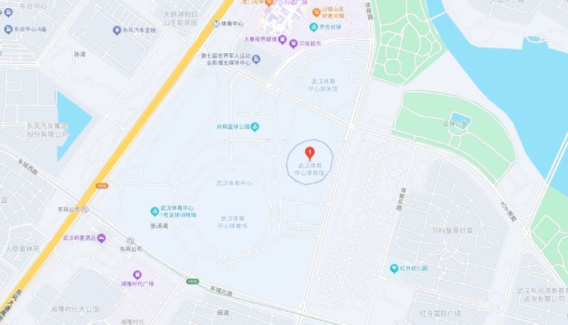 2025王力宏武汉演唱会活动攻略（购票+观演）