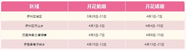 2026哈密杏花花期预报