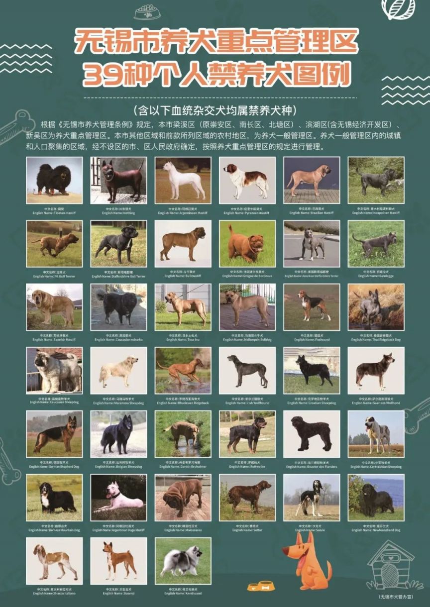 江阴禁养犬品种
