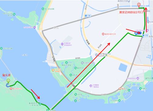 2024无锡鼋头渚赏樱专线时间路线
