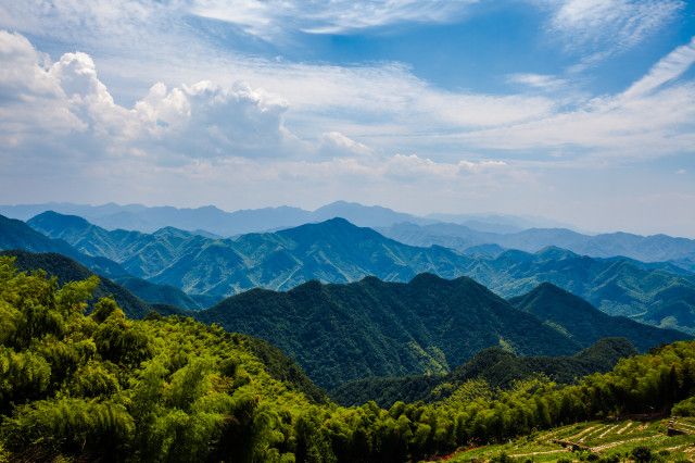 洪庆山国家森林公园黄巢堡景区旅游攻略(地点 赏花)