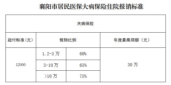 襄2025阳城乡居民医保待遇