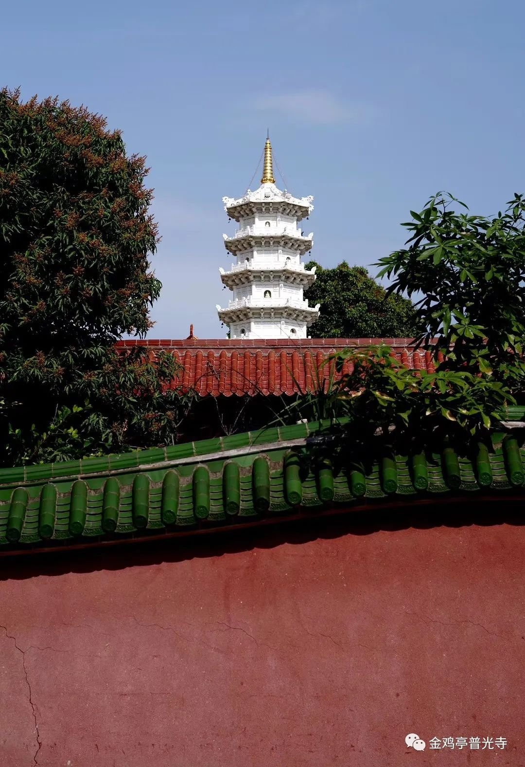 厦门普光寺简介 厦门普光寺简介