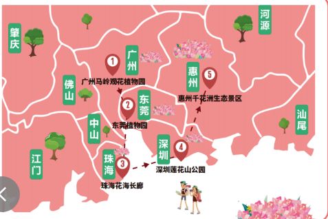 广东春日赏花路线（地点+最佳观赏期）