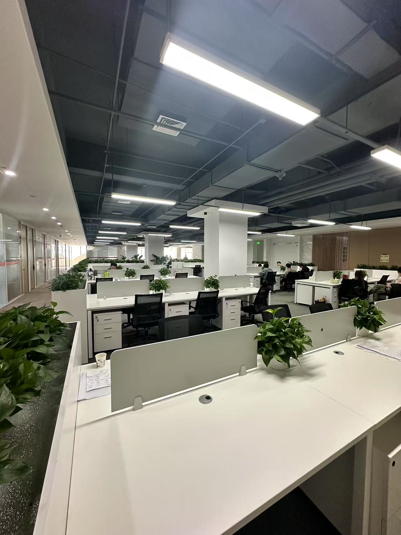 北京睿圣网络科技有限公司图片 北京睿圣网络科技有限公司图片