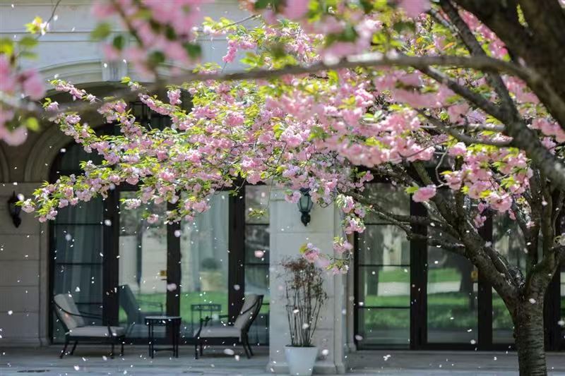 浙江黄龙酒店管理集团有限公司余杭分公司图片 浙江黄龙酒店管理集团有限公司余杭分公司图片