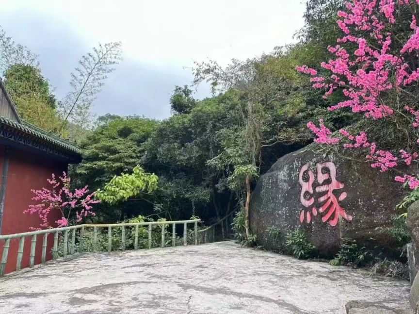 2026中山五桂山逍遥谷妇女节免票入园