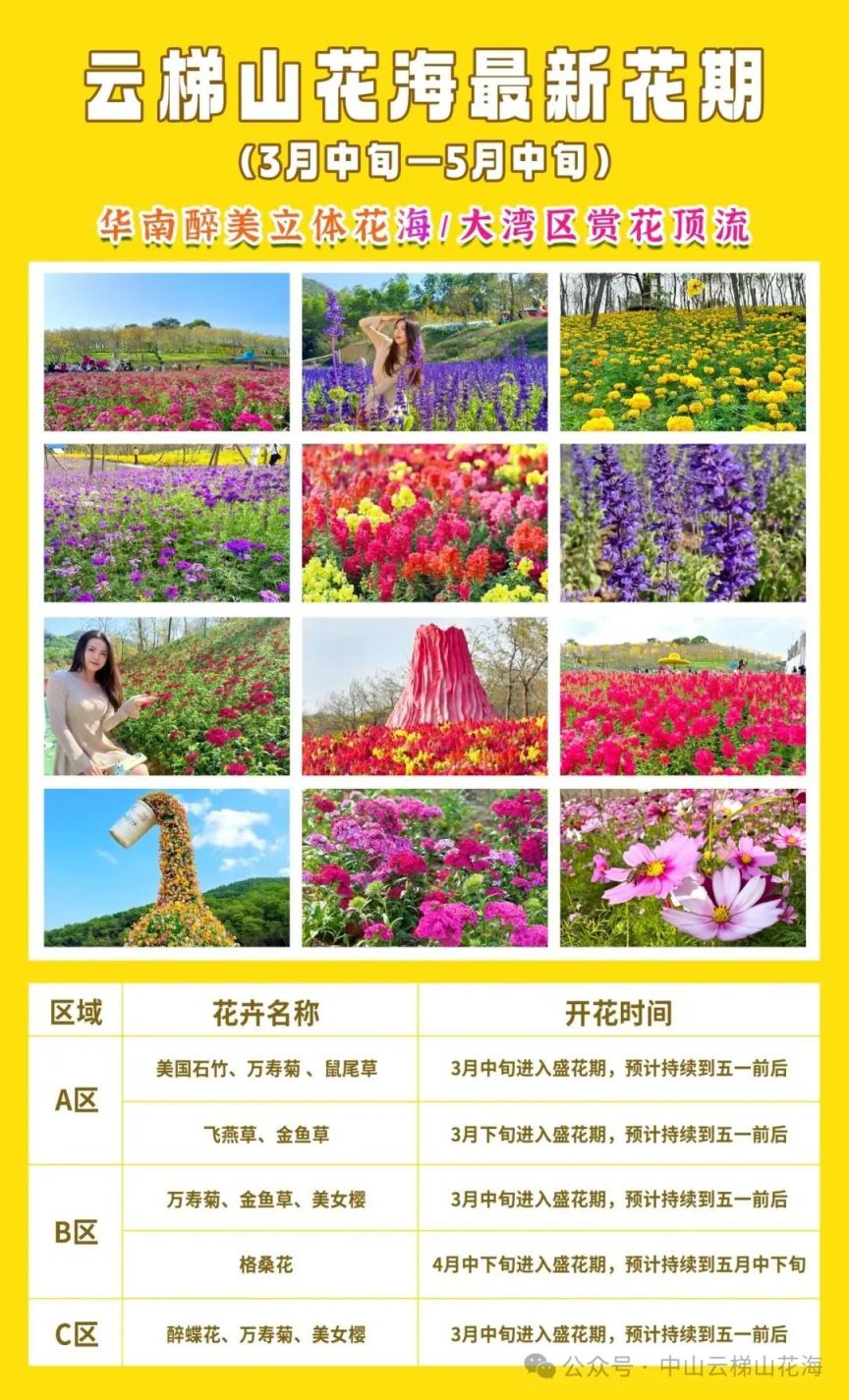 2026中山云梯山花海赏花攻略
