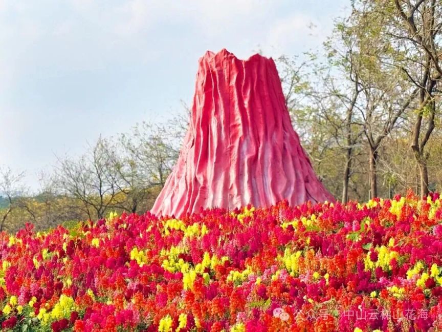 2026中山云梯山花海赏花攻略