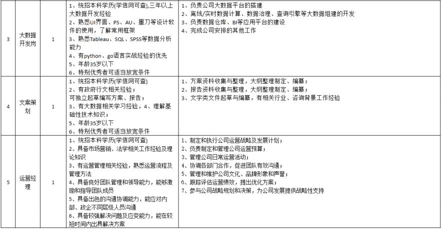 河南省人才数字科技有限公司社会化招聘公告