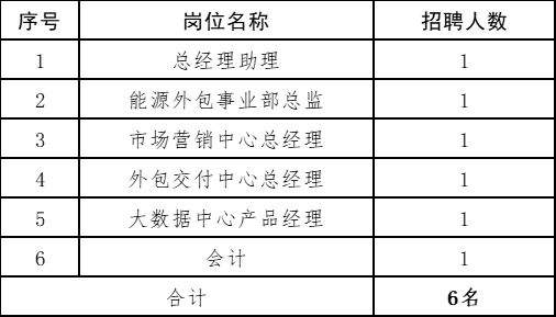 河南能源人力资源发展集团有限公司2024年市场化选聘公告