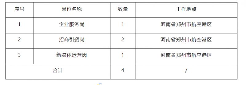 河南中原人力资源产业园运营管理有限公司2024年社会招聘